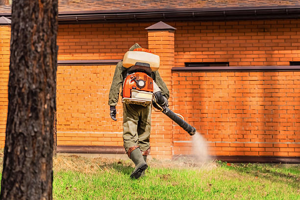 Trusted Cockroach Control service in Lake Wylie, SC - Nex Pest Control